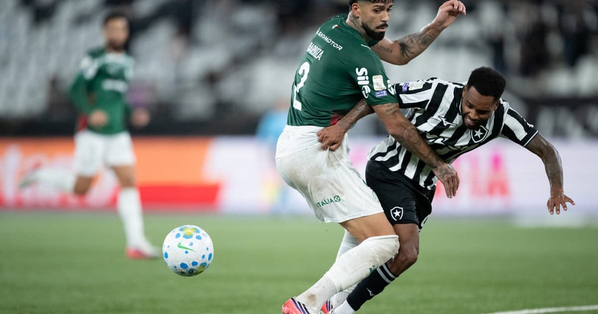 Palmeiras empata com o Botafogo, termina com um a menos e entrega a liderança ao Flamengo